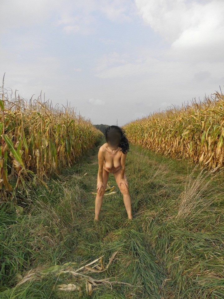 Kukurydziane szaleństwa - aga124