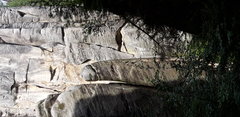 20190805_115038.jpg