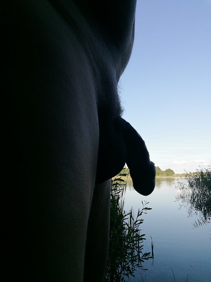 IMG_20190815_175358.jpg - wirus101