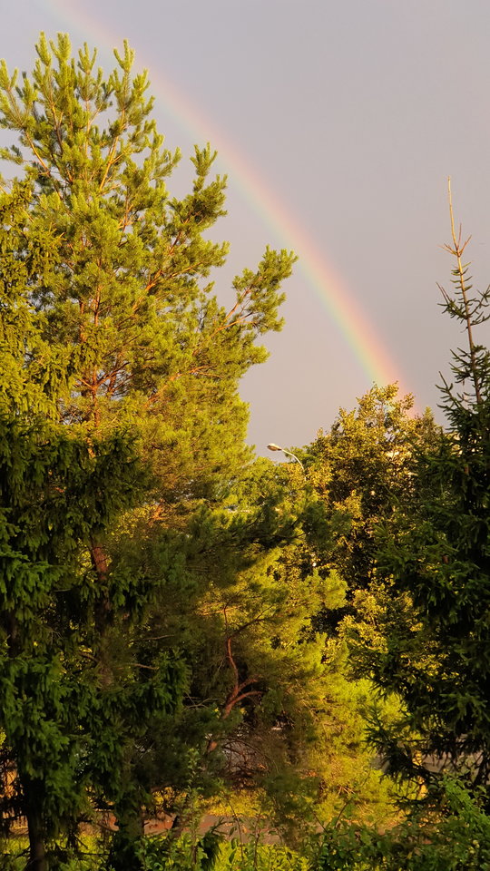 20190814_191327.jpg - reporter13