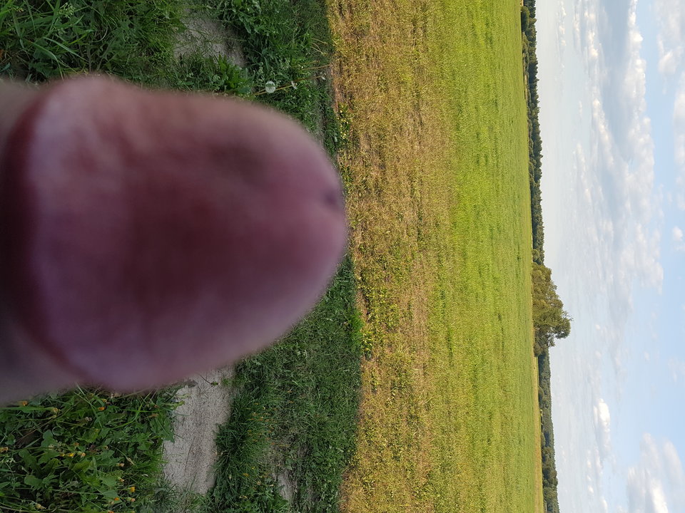 Dzwon dobry ,miłego dnia :) - smutnykoles84