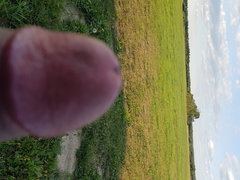 Dzwon dobry ,miłego dnia :)