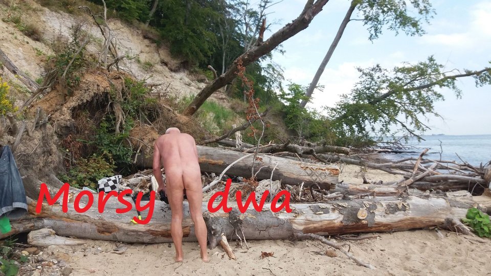 . - Morsy_dwa