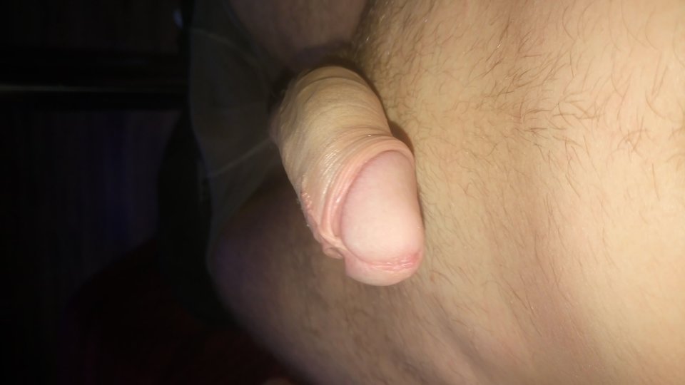 15659709445741229175704.jpg - Piciu1587