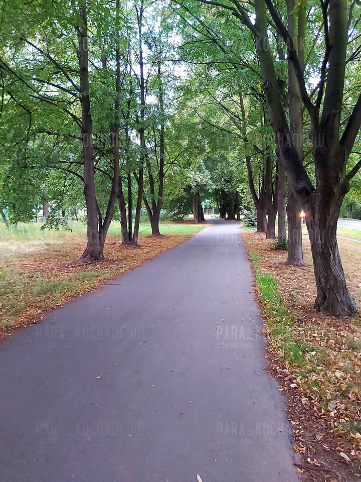 20190816_190859.jpg - para_kochankow