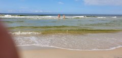 20190816_160439.jpg