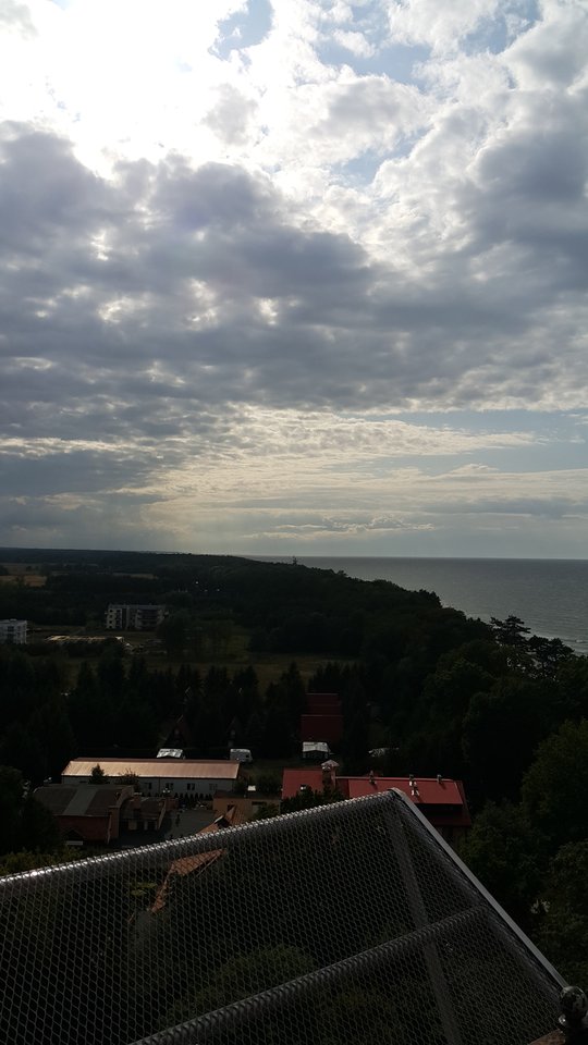 20190816_164003.jpg - tobiasz67