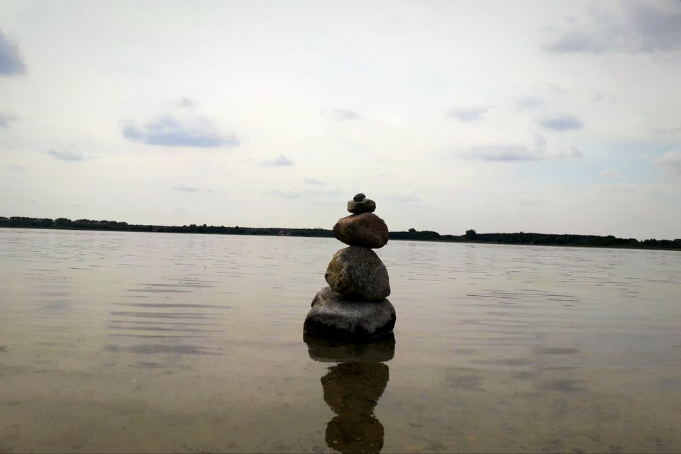 20190817_135403.jpg - Alien65