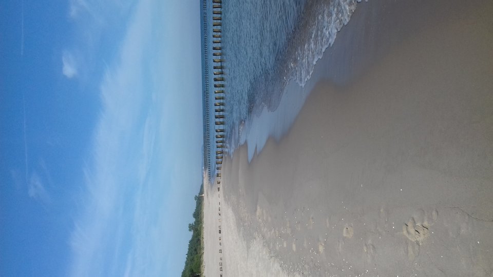 20190817_082421.jpg - anna77seba