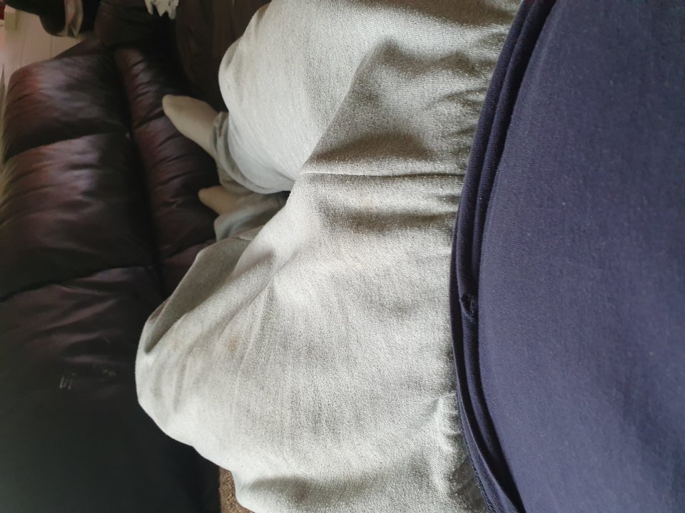 15660597468684538460837225322717.jpg - Pitbull095