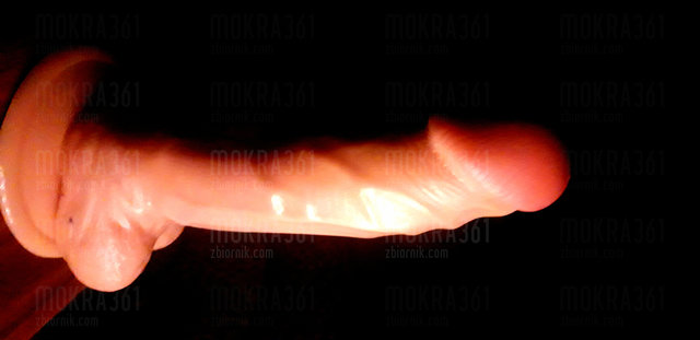Mokra361