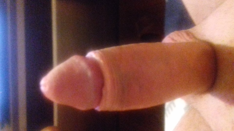 20190817_231911.jpg - aligator234