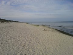 20190818_094654.jpg