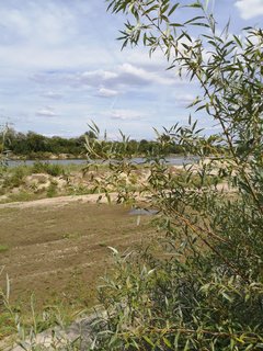 2019-08-18 14.22.36.jpg