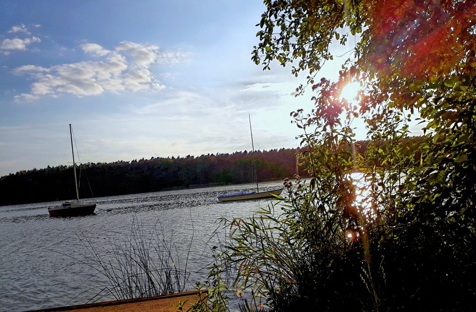 20190818_191733.jpg - Alien65