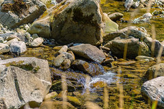 Strumykowe klimaty 4