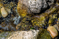 Strumykowe klimaty 3