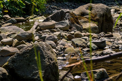 Strumykowe klimaty 2