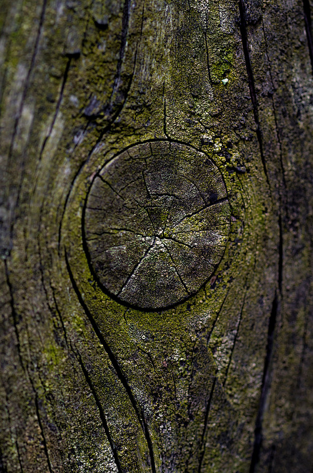 Czasami wady są piękne - mystic