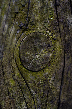 Czasami wady są piękne