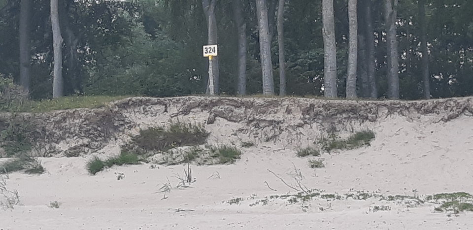 20190815_180149.jpg - mlody1277