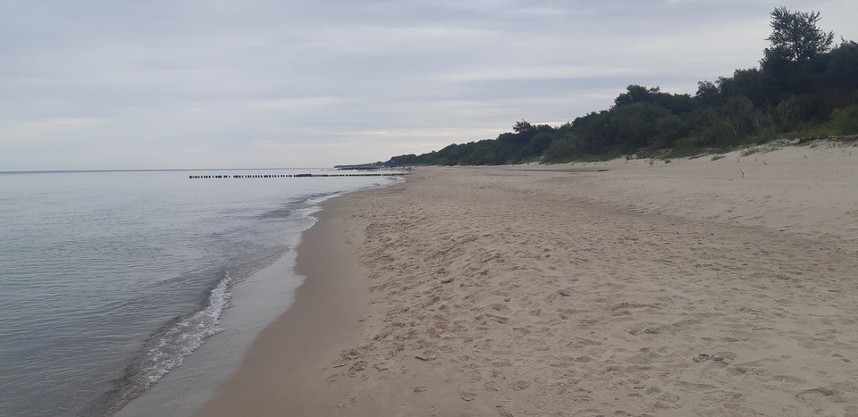 20190815_180227.jpg - mlody1277