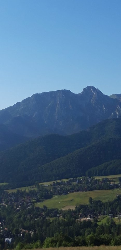 IMG-20190804-WA0000.jpg - wirtualna11