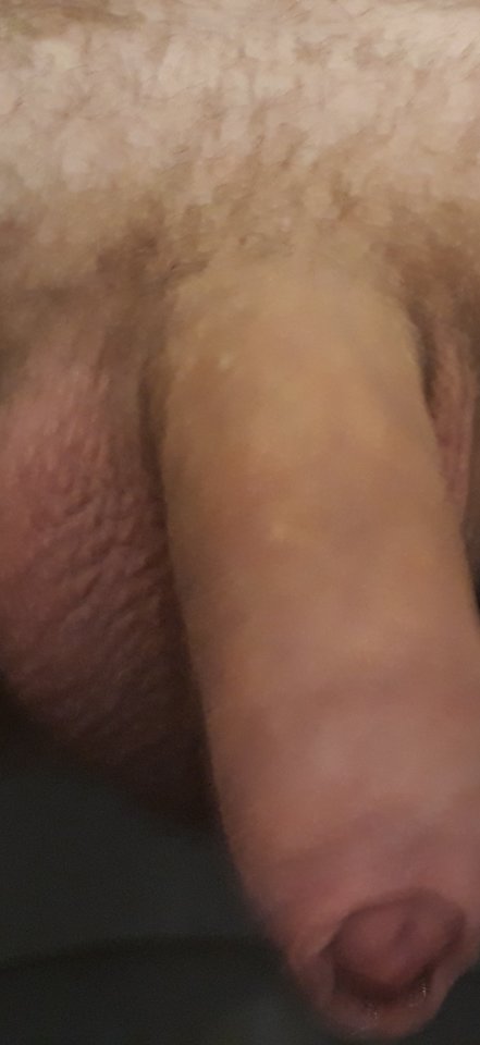 20190820_080142~2.jpg - Veget