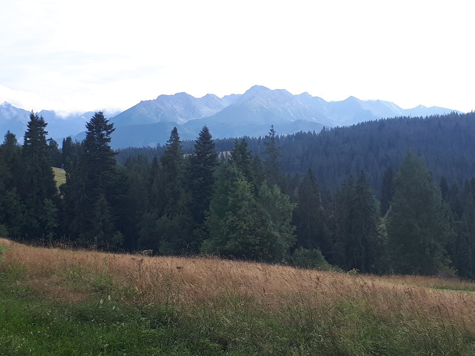 20190807_165046.jpg - gg1975