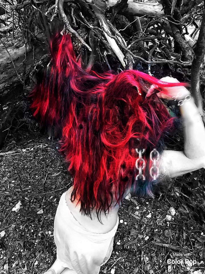 IMG-20190812-WA0004.jpg - Simonski