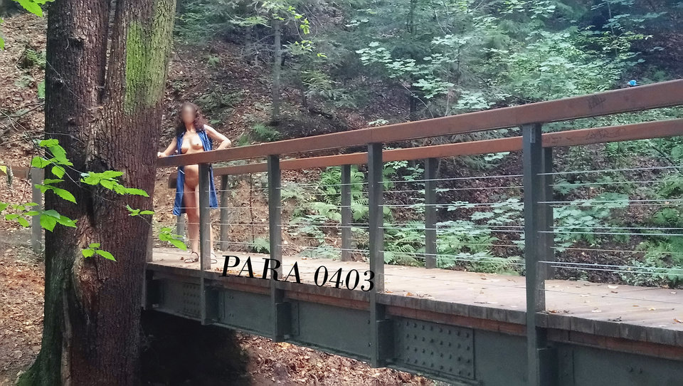 DSC_0315.jpg - para0403