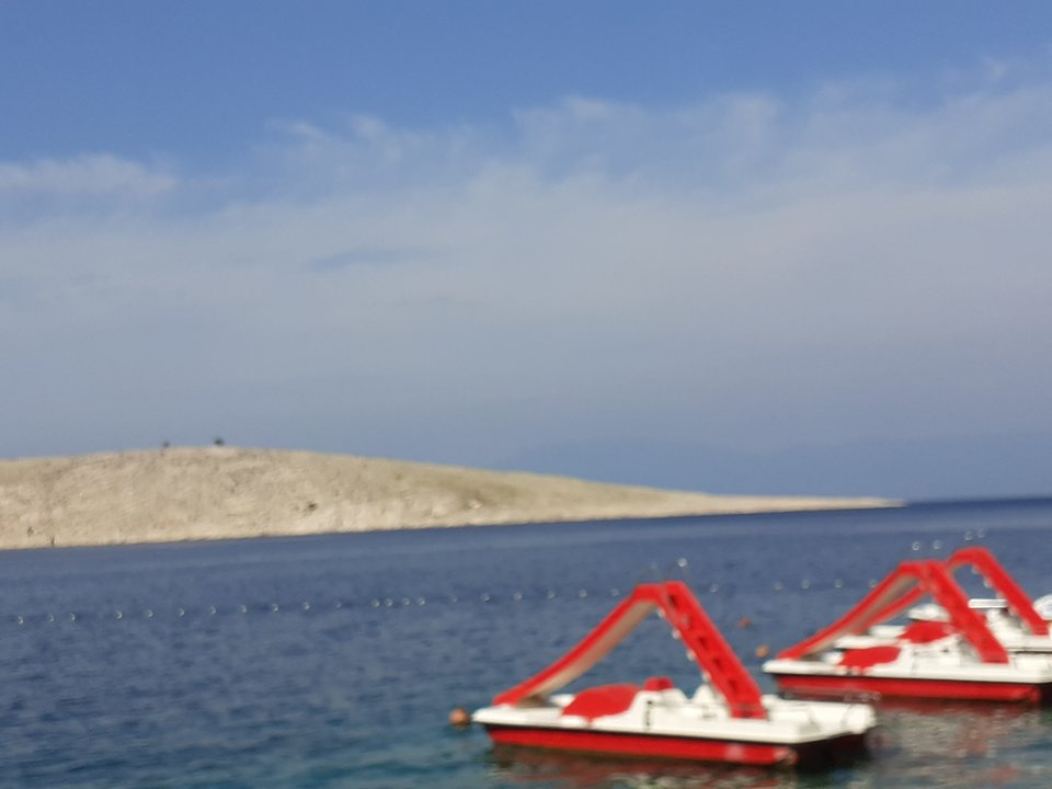 20190821_101919.jpg - Przemodkl79