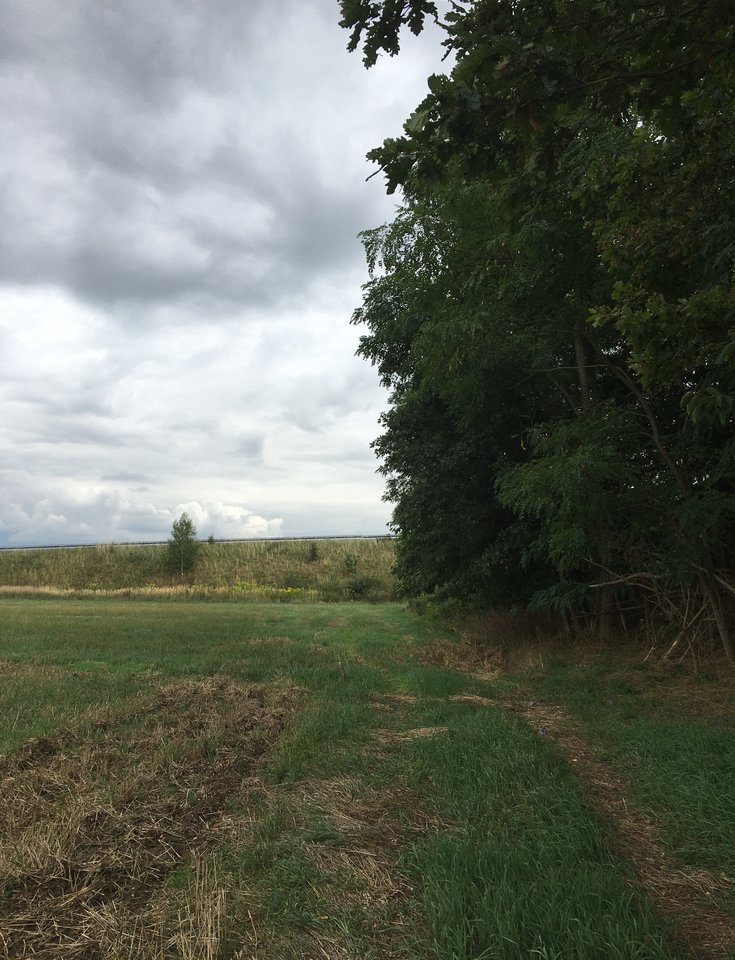 53FD214A-0C0E-4CD4-B1B0-23260F0AD10A.jpeg - Szef299