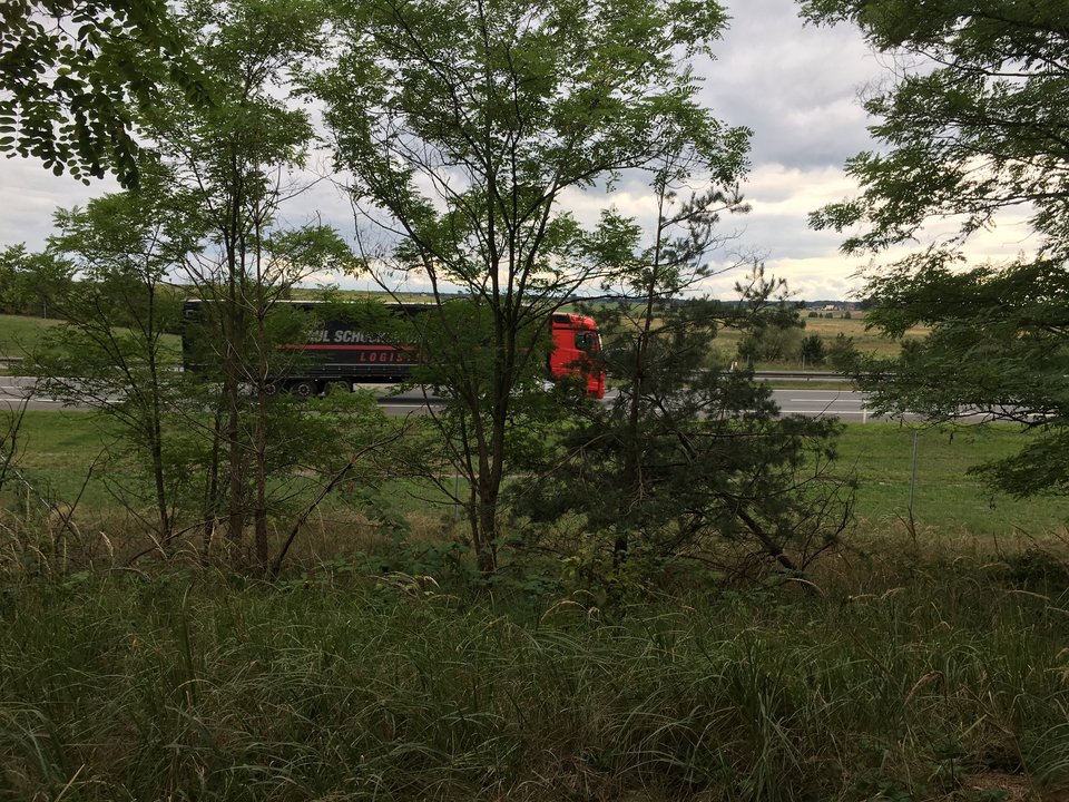 68D6C9F5-56EF-499B-99EA-9850F7C79478.jpeg - Szef299