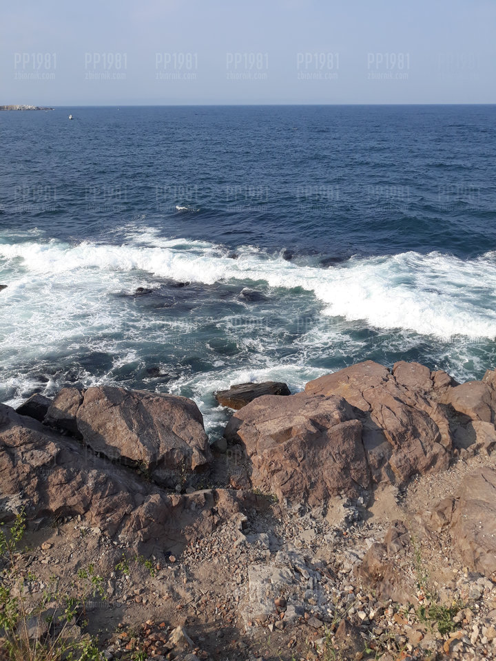 20190821_171420.jpg - pp1981