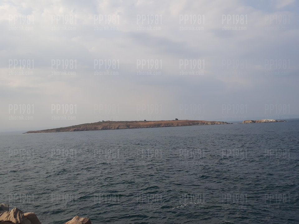 20190821_170703.jpg - pp1981