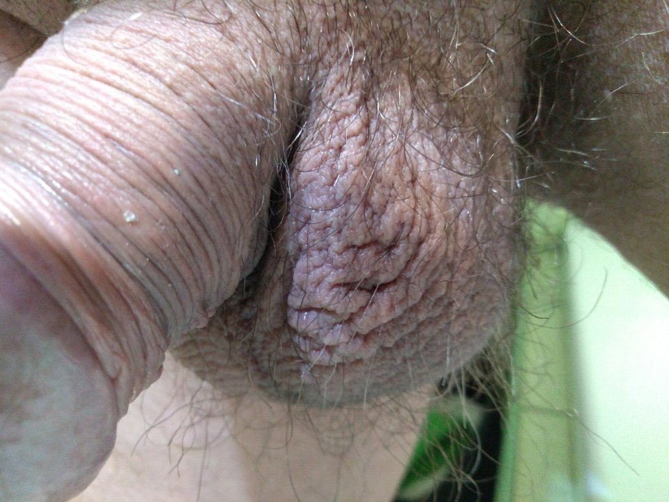 15664468258583710420640272693500.jpg - matuzalem000