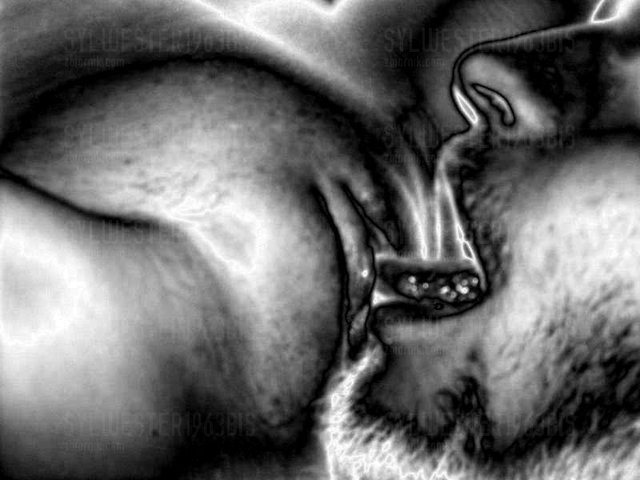 tak bym się bawił.jpg - sylwester1963bis