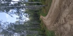 IMG_20190821_165335.jpg