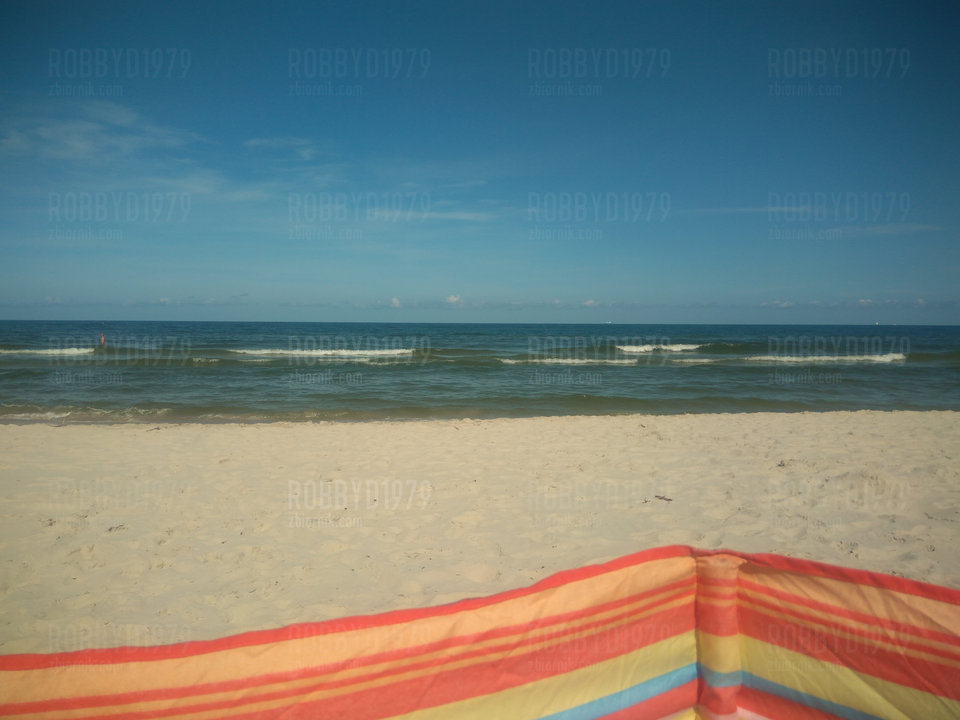 P_20190822_115729.jpg - robbyd1979