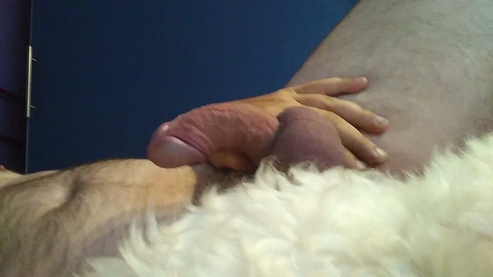 IMG_20190823_064810.jpg - xxxMarcoxxx