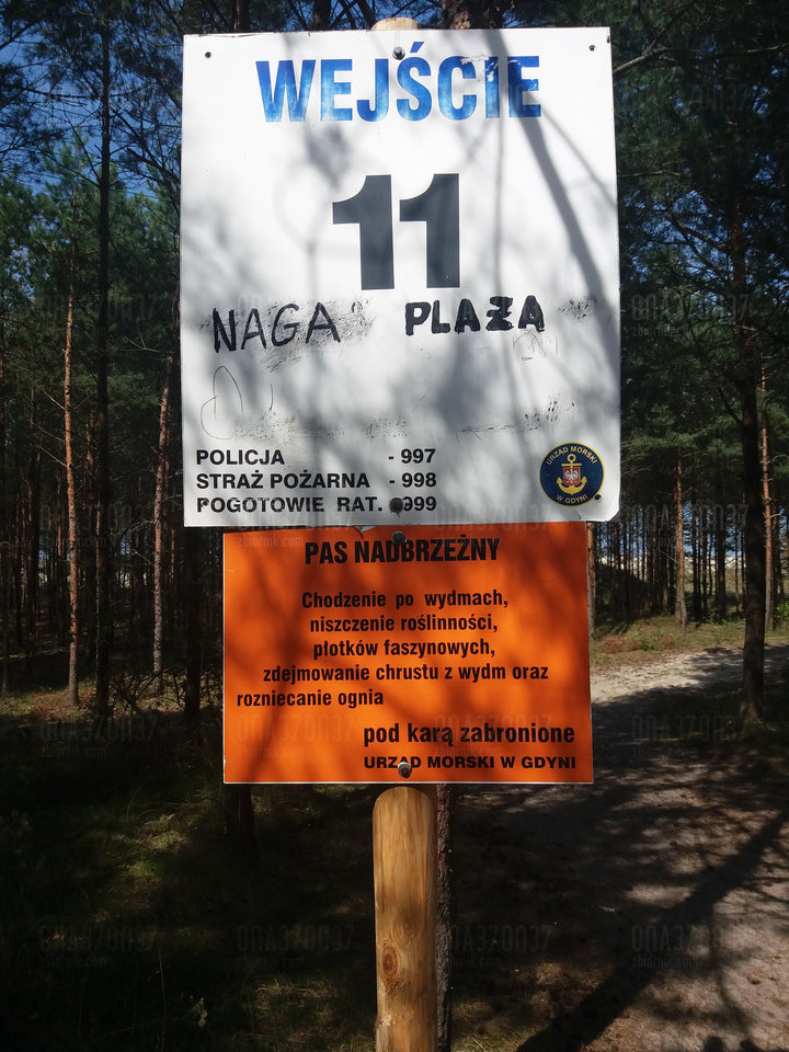 20190824_115219.jpg - ona37on37