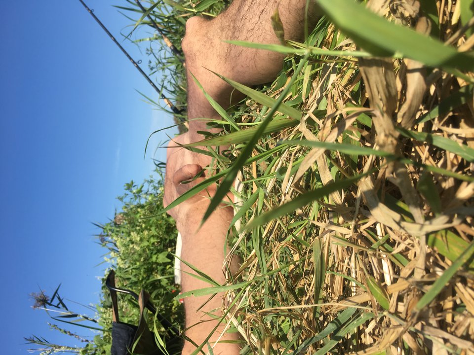 762F1016-E721-46C4-BCB9-5F424FF015CF.jpeg - botomi3001