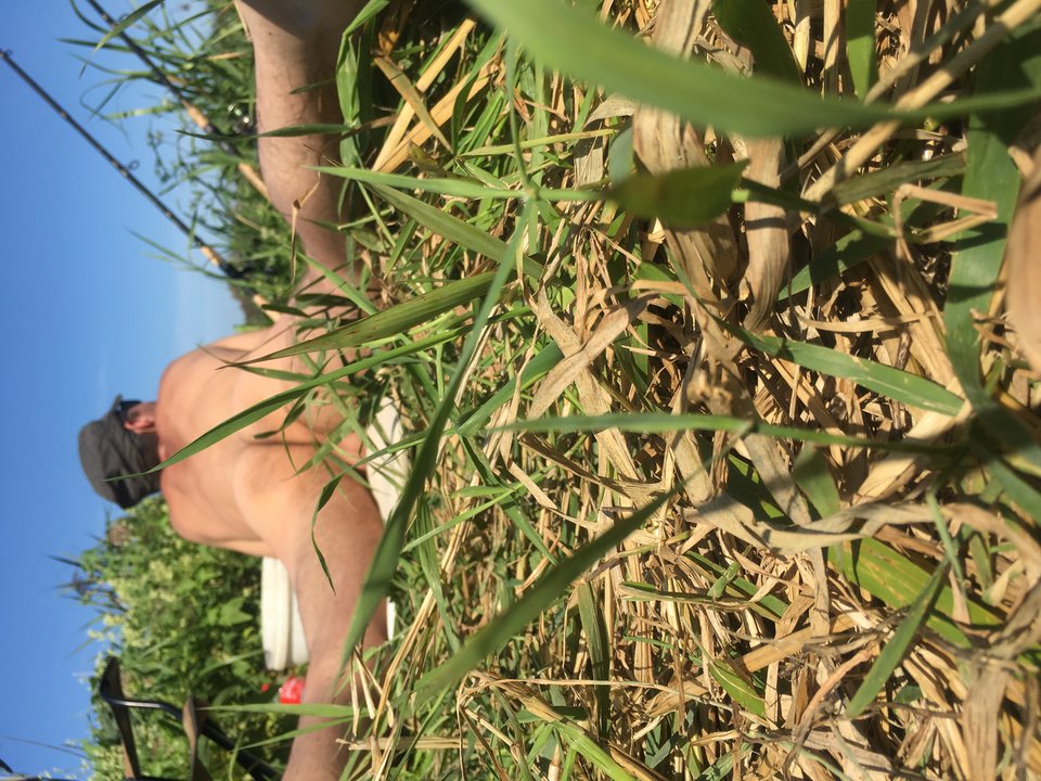 67CEFD15-2CF1-40B2-98F0-DC1C8120659B.jpeg - botomi3001