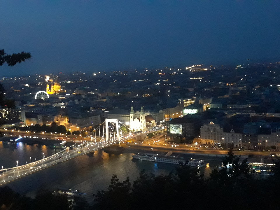 20190823_201339.jpg - miron145