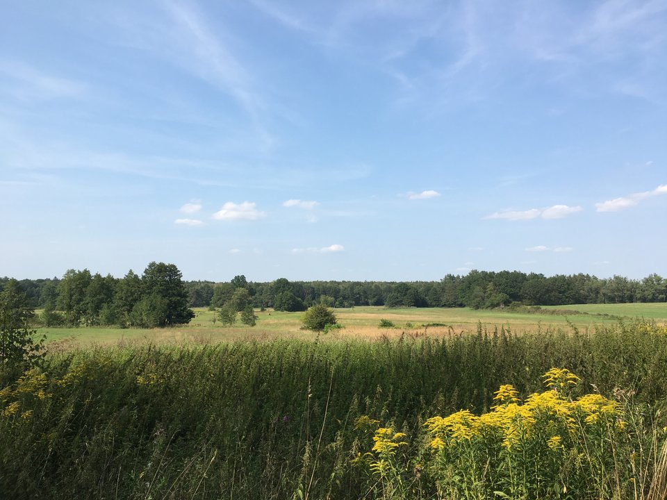 60996AFB-4F22-4B33-9A0A-8D93D8450CBE.jpeg - Szef299