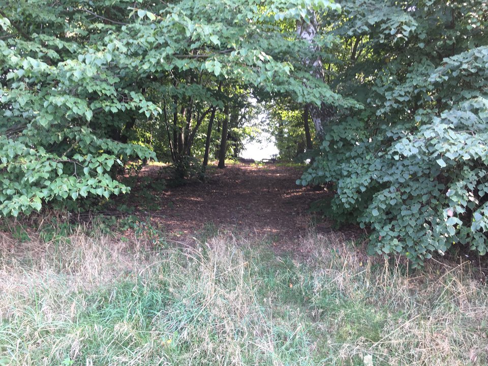 1B8D1C73-484A-4D84-A462-5A64EAC70752.jpeg - Szef299