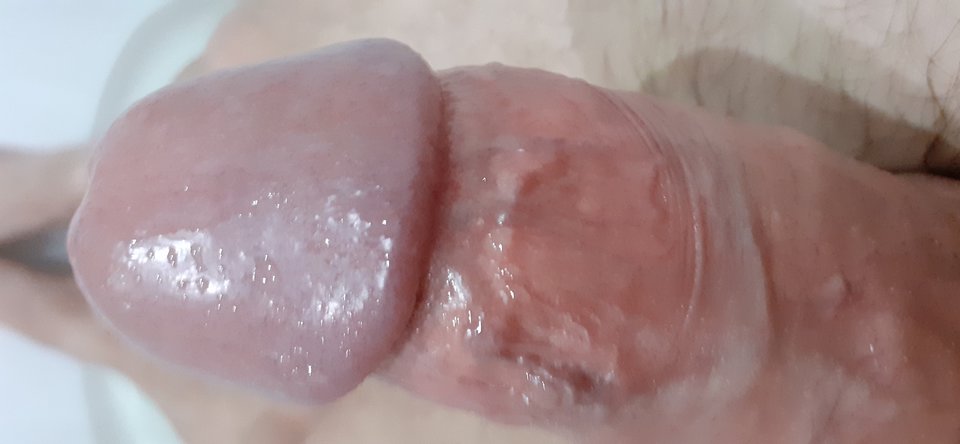 15666610557493134774305052122725.jpg - Piciu1587