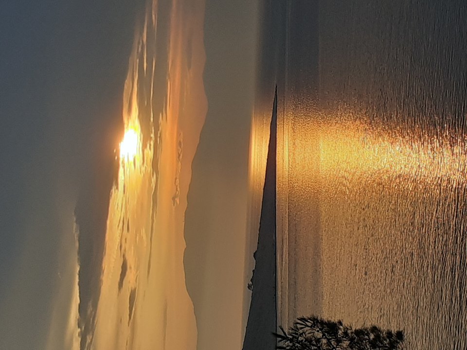 20190824_191836.jpg - Przemodkl79