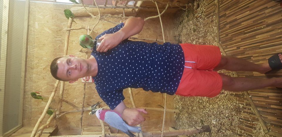 20190811_175151.jpg - slivka89